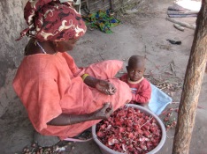 Nembaley Tourre, saving seeds from bissap flowers and watching her granddaughter, Neema.